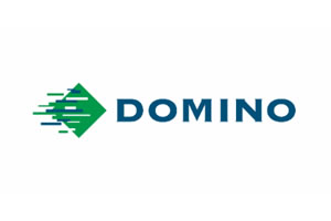 Domino